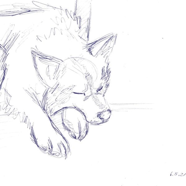 Fini