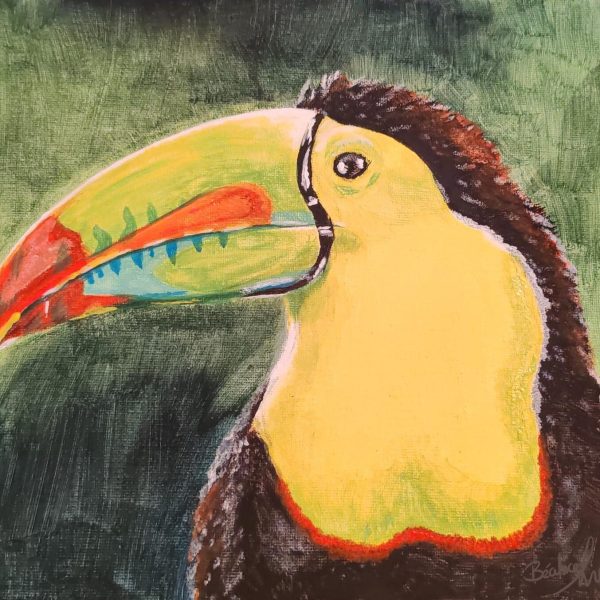 Toucan
