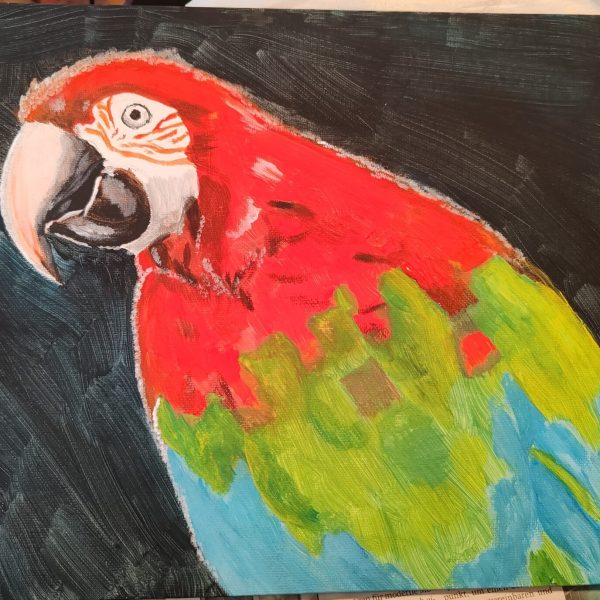 Parrot